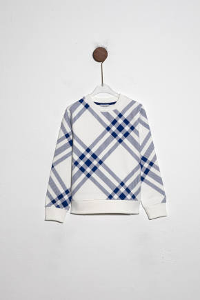 Cotton Sweatshirt