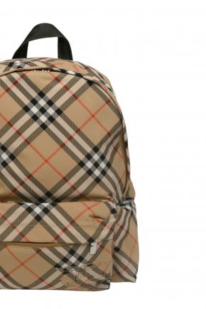 Check Backpack 背囊