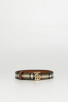 Polyurethane Belt