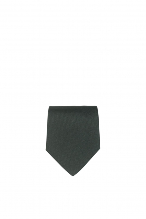 Lucky Tiger' Embroidered Silk Tie