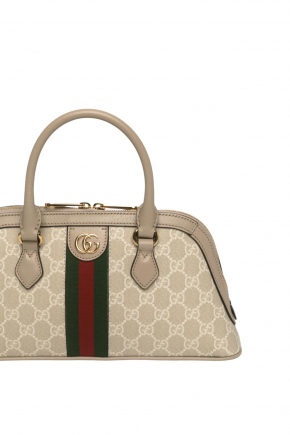 Ophidia Small Bag 斜揹袋/手提袋