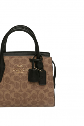 Andrea Carryall Bag 斜背包/手提包